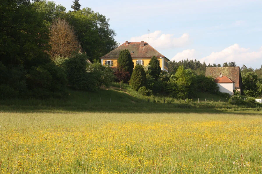 schloss  (Bild vergr&ouml;&szlig;ern)
