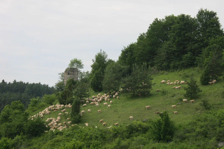 schlossberg  (Bild vergr&ouml;&szlig;ern)