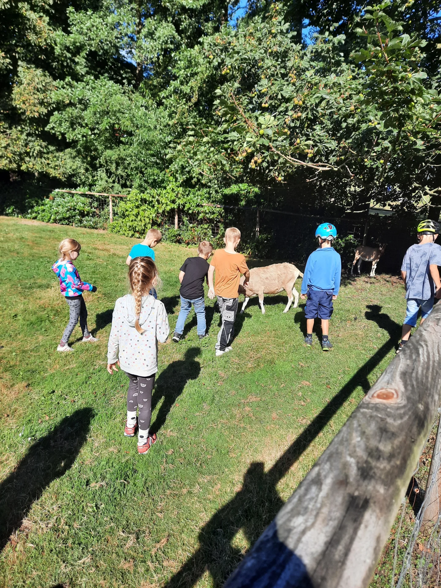 Zur Galerie: Unsere Radtour zum Bauernhof der Familie Hanken