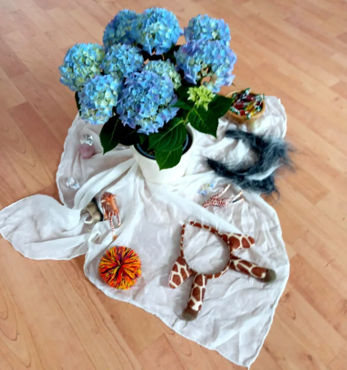 Foto der Galerie: Meine Galerie