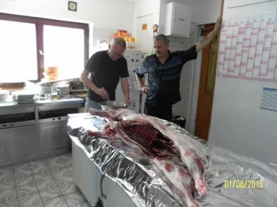 Vorschaubild: Galerie 2015 Wildschweingrillen 02