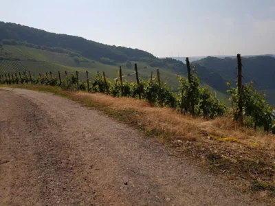 Vorschaubild: Konzertreise Trier 2018-05-20 09