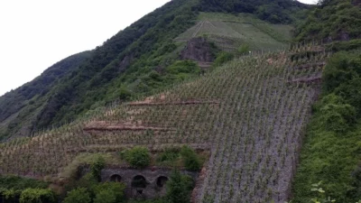 Vorschaubild: Konzertreise Trier 2018-05-20 50
