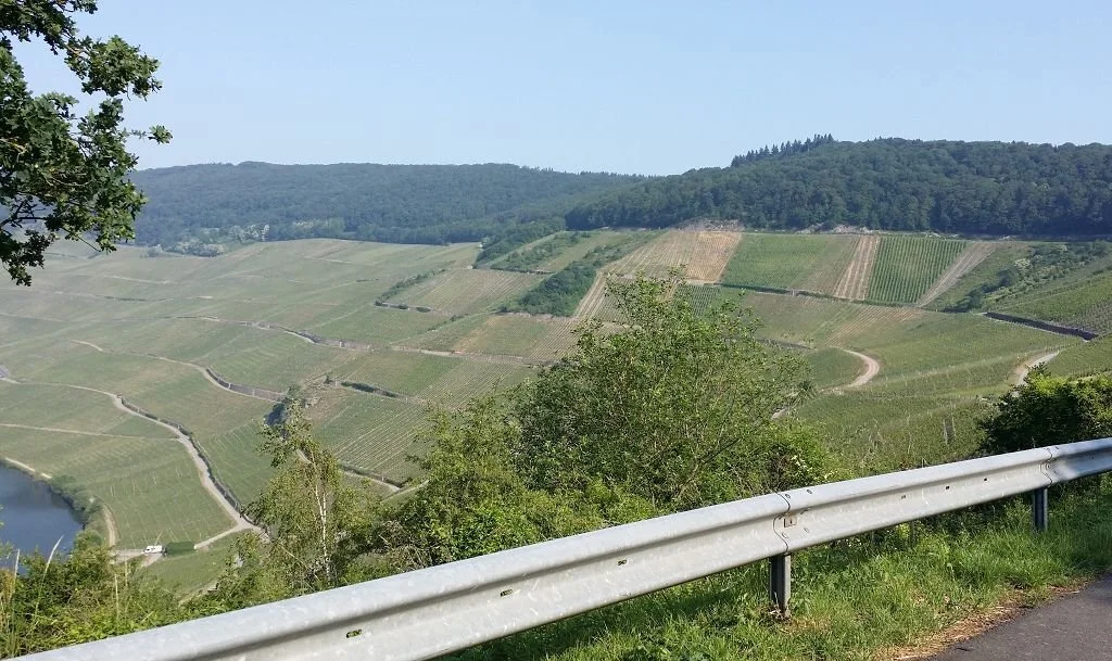 Bild: Konzertreise Trier 2018-05-20 04