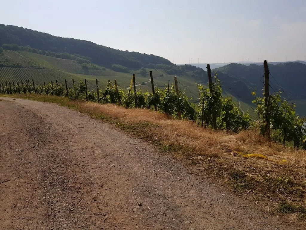 Bild: Konzertreise Trier 2018-05-20 09