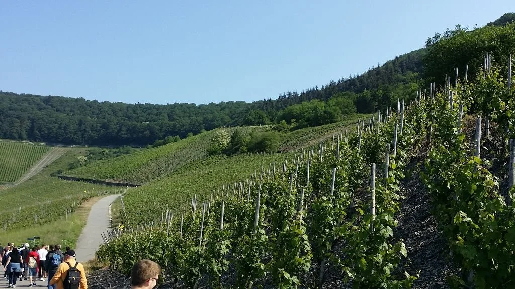 Bild: Konzertreise Trier 2018-05-20 13