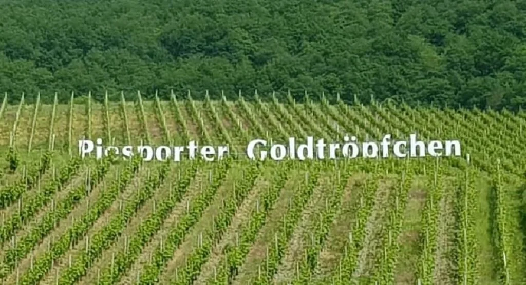 Bild: Konzertreise Trier 2018-05-20 15