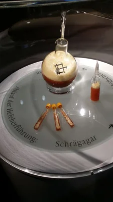 Vorschaubild: Konzertreise Trier 2018-05-18 19