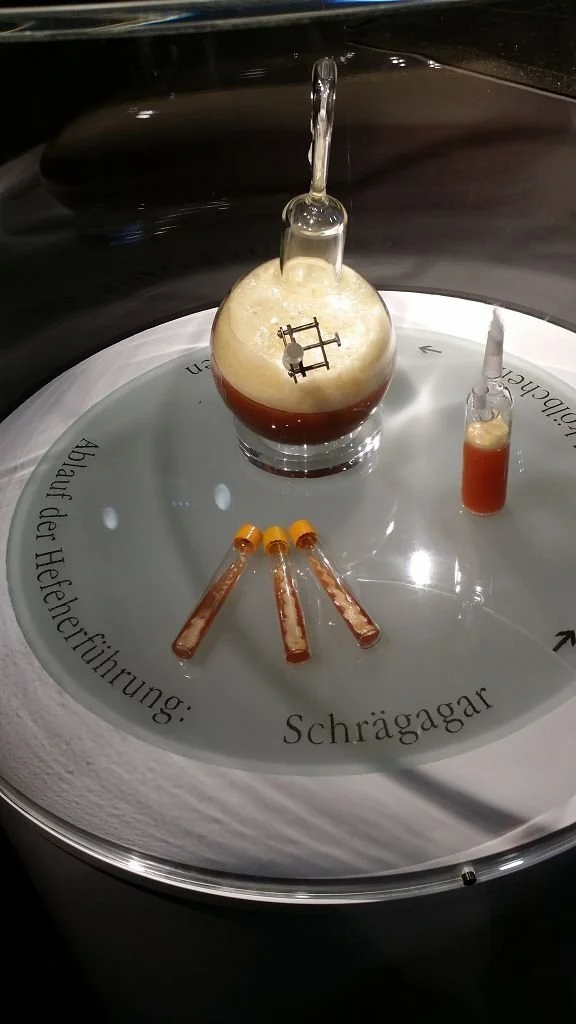 Bild: Konzertreise Trier 2018-05-18 19