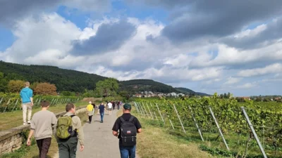 Vorschaubild: Galerie 2023-09-30 Pfalzwanderung 07