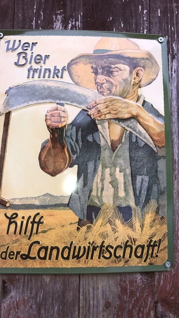 Bild: Galerie 2023-11-18 Jungsängerwanderung 08