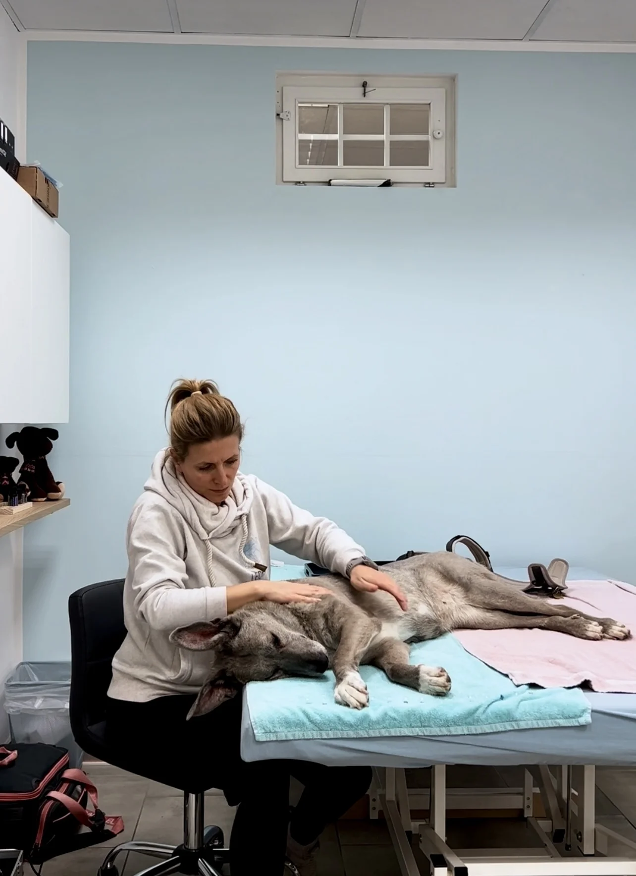 Bild : Manuelle Therapie