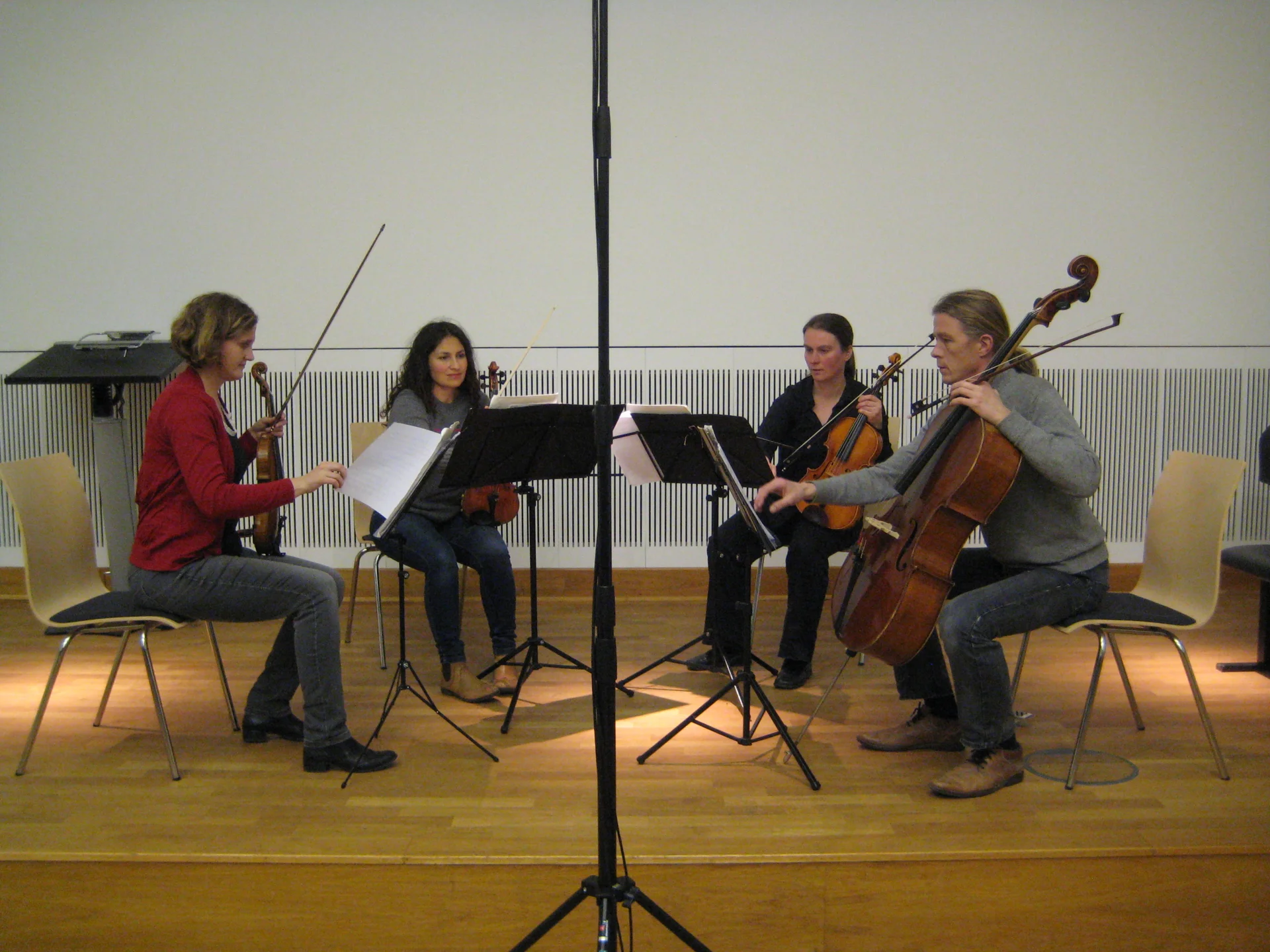&bdquo;Saiten-Blick&ldquo;, Konzert mit dem Aurelia-Streichquartett, 2017  (Bild vergr&ouml;&szlig;ern)