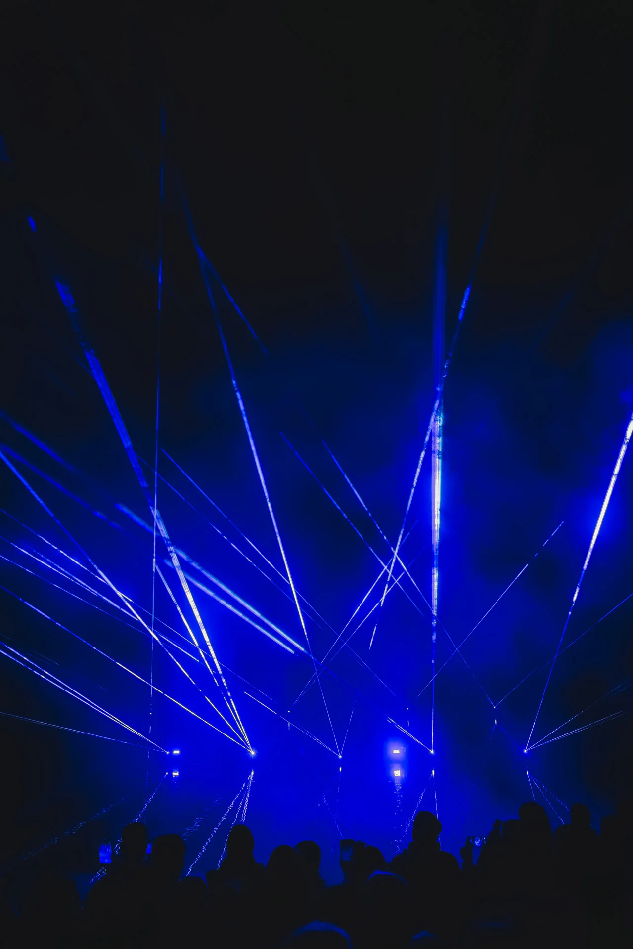 Foto der Galerie: Das Heideblütenfest 2025