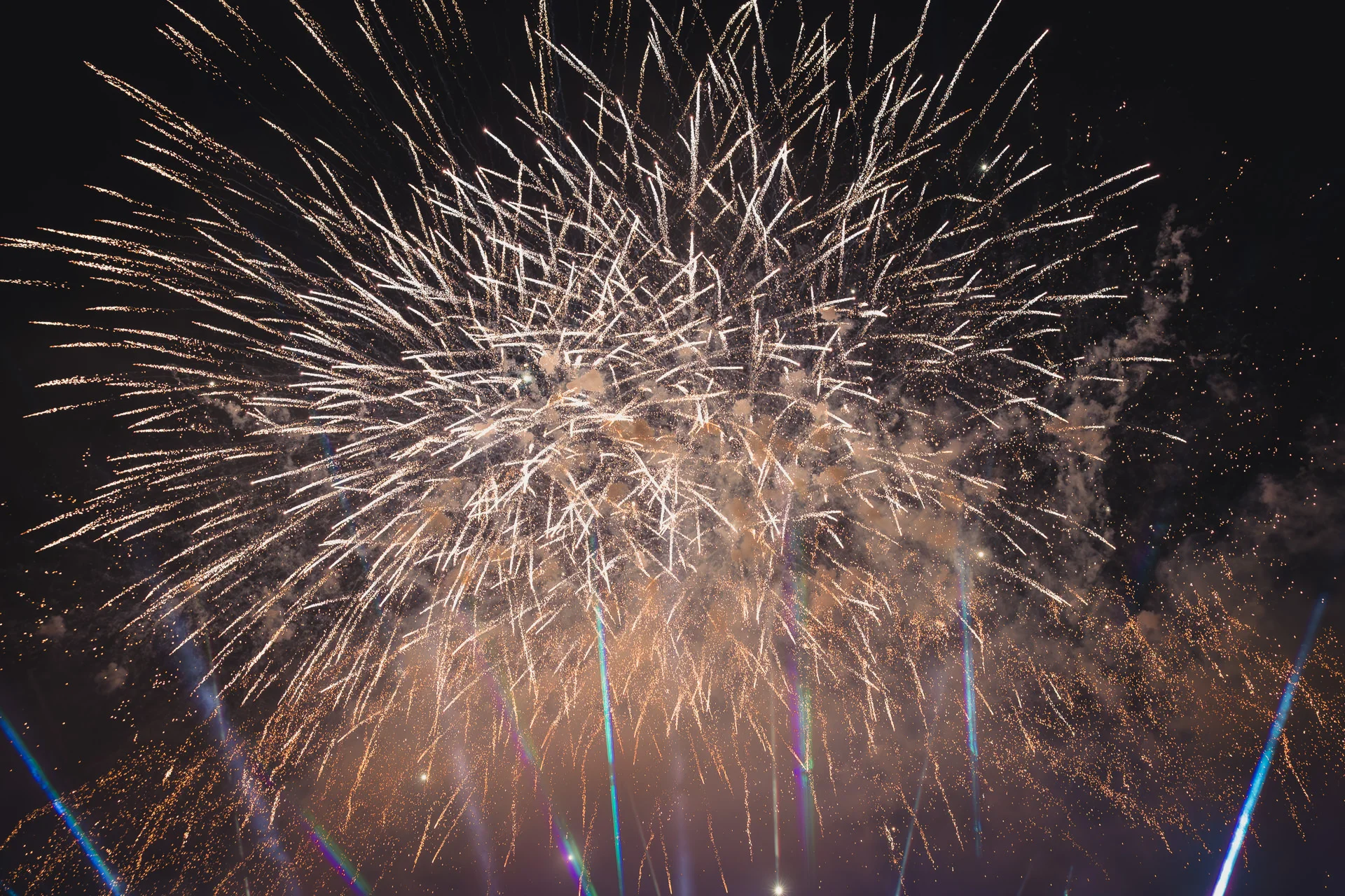 Foto der Galerie: Das Heideblütenfest 2025