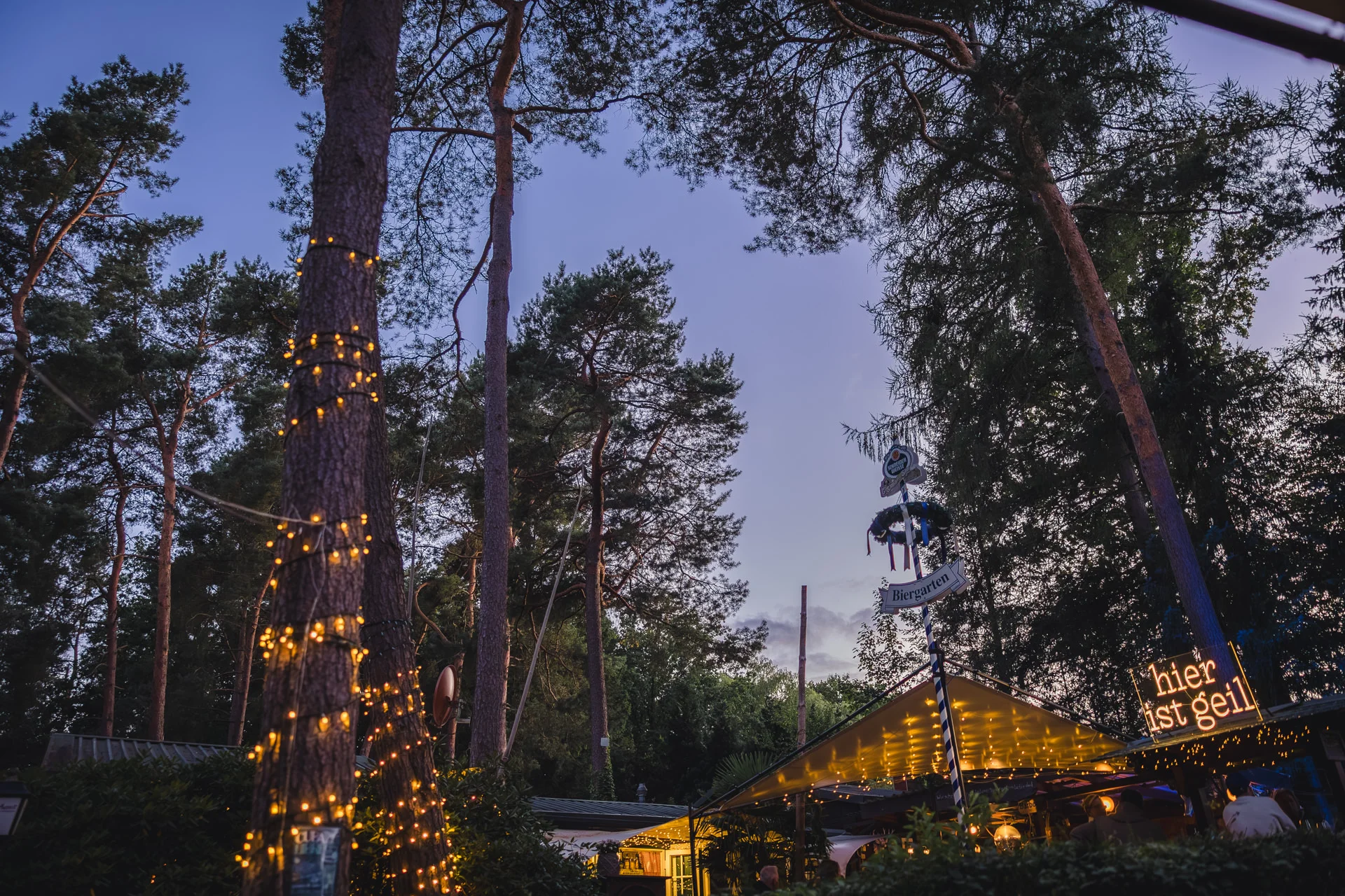 Foto der Galerie: Das Heideblütenfest 2025