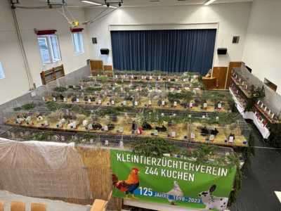 Vorschaubild: Kreisschau 2023-3