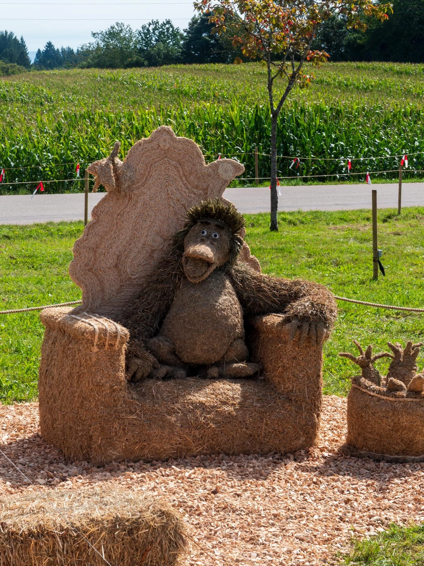 Fotoclub K&uuml;ssaberg e.V.  (Bild vergr&ouml;&szlig;ern)
