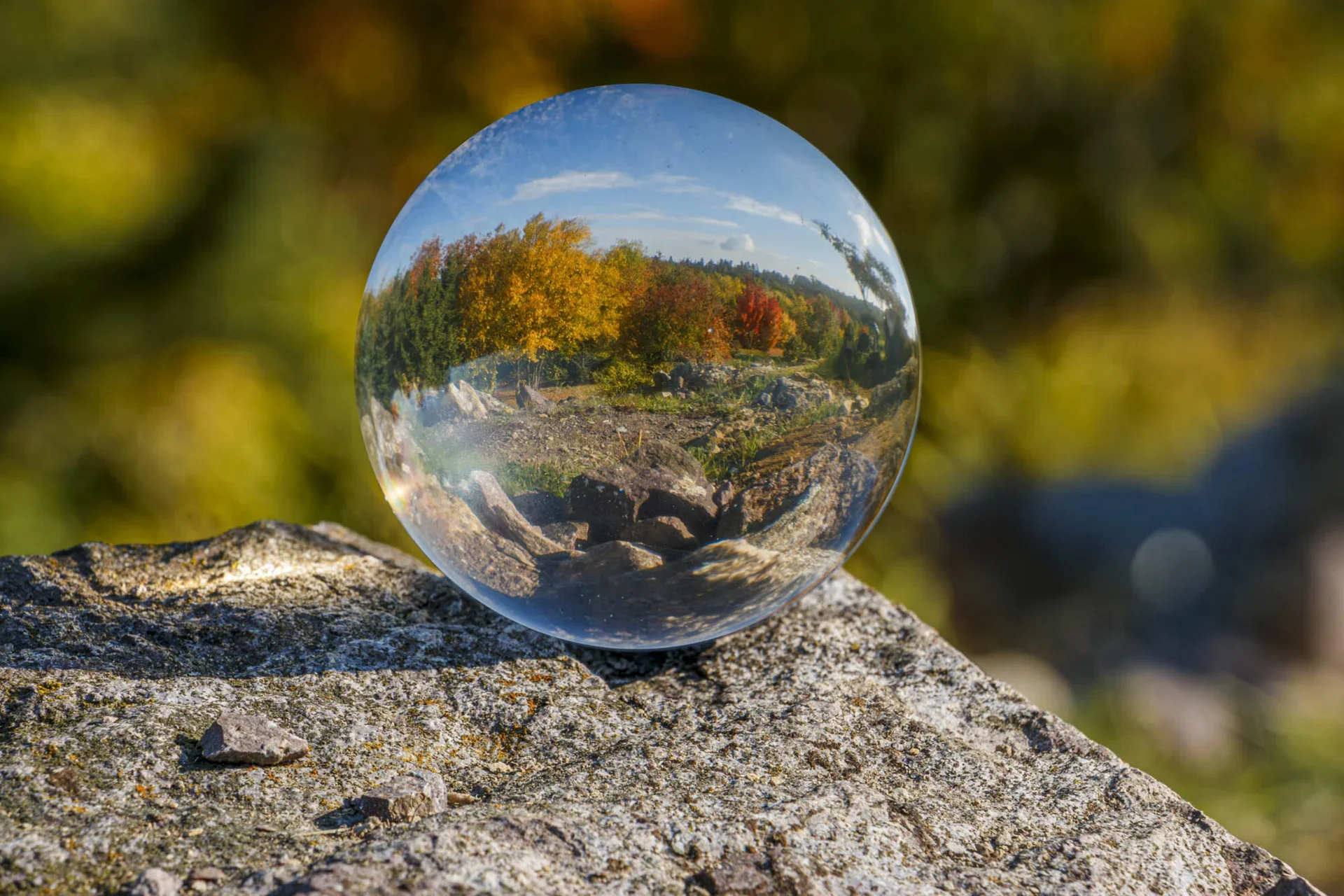 Eberhard K&ouml;hler - Herbst im Glas  (Bild vergr&ouml;&szlig;ern)