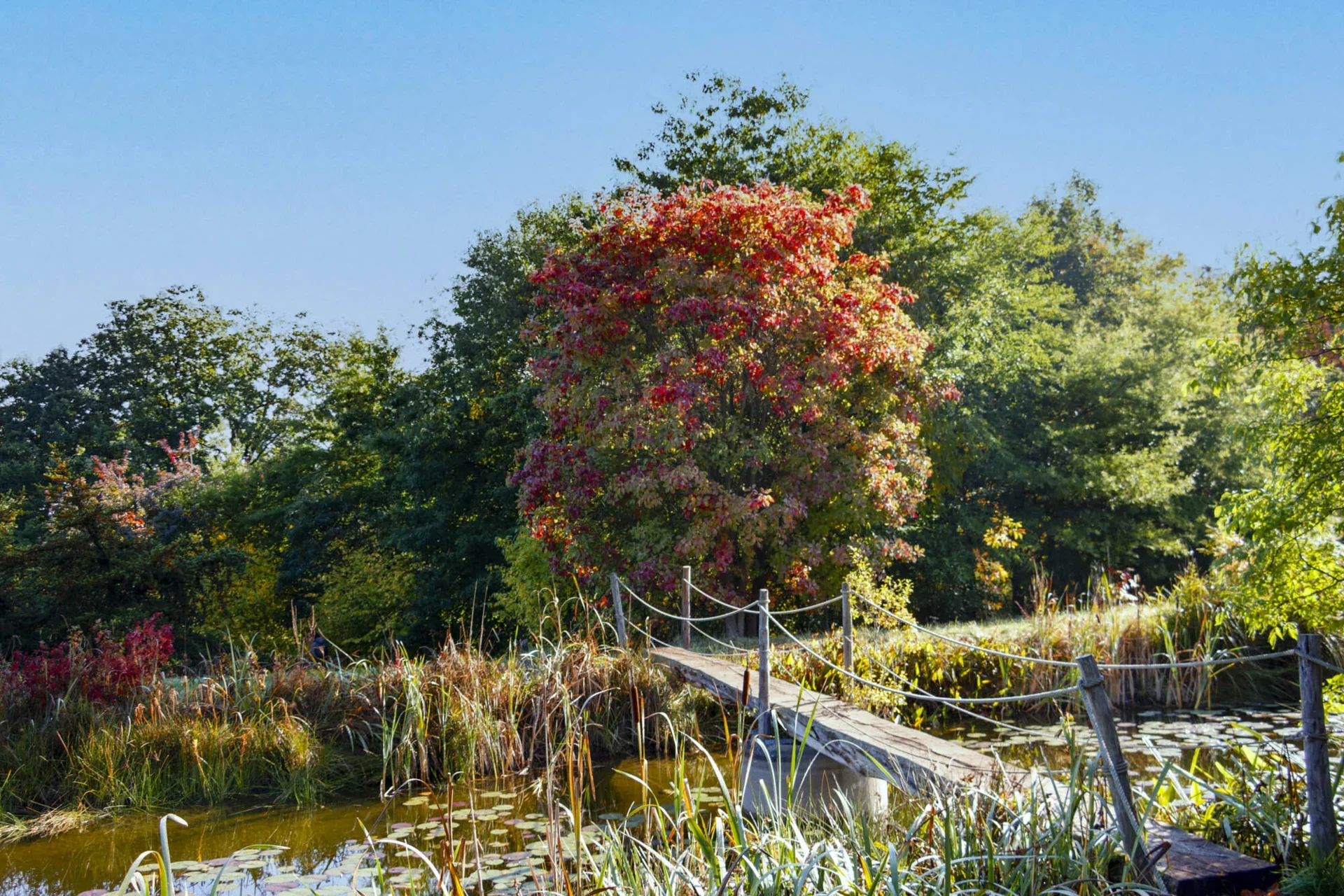 Eberhard K&ouml;hler - Idylle im Herbst  (Bild vergr&ouml;&szlig;ern)