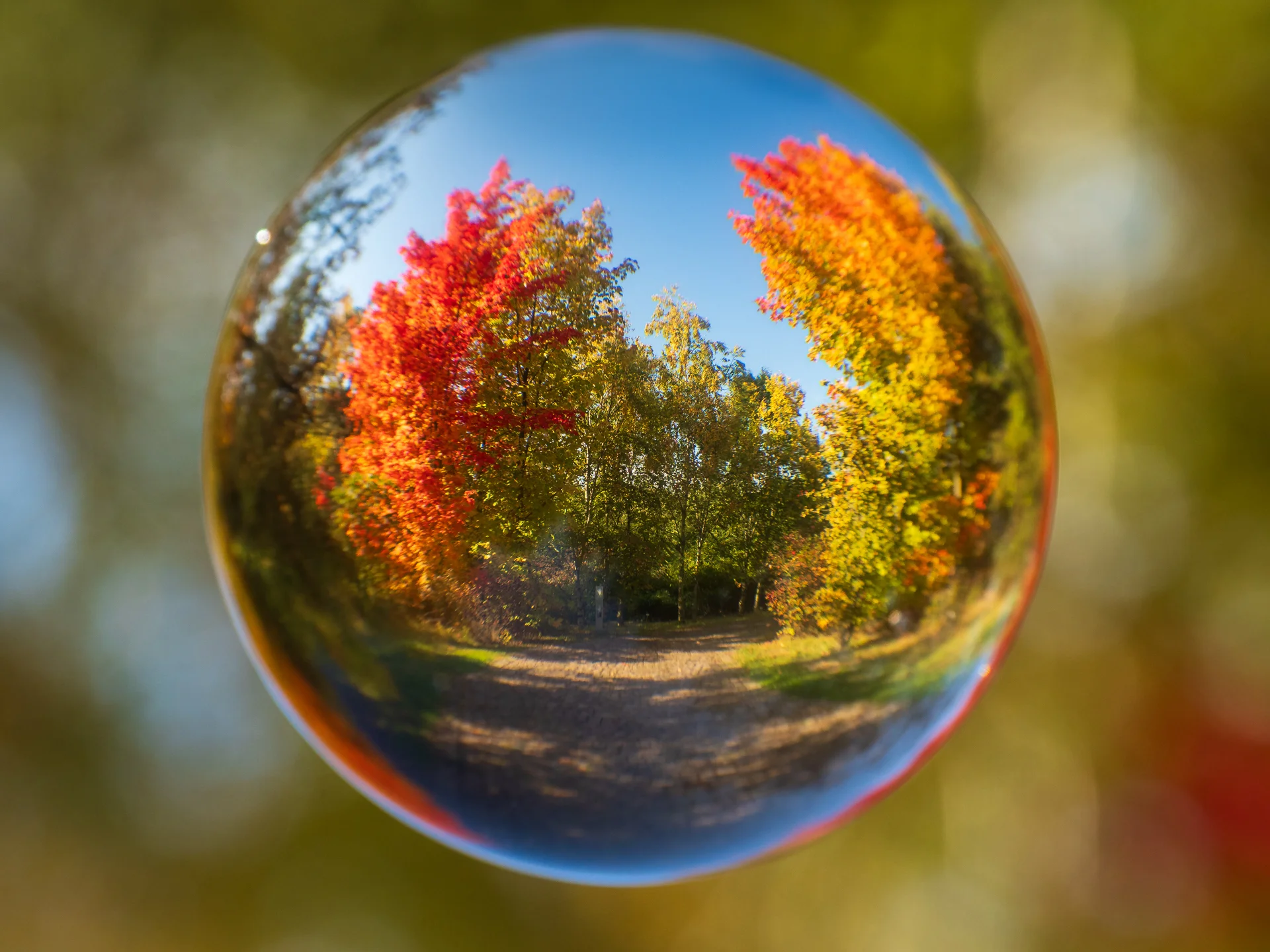 Peter Haider - Ein runder Blick auf den Herbst  (Bild vergr&ouml;&szlig;ern)