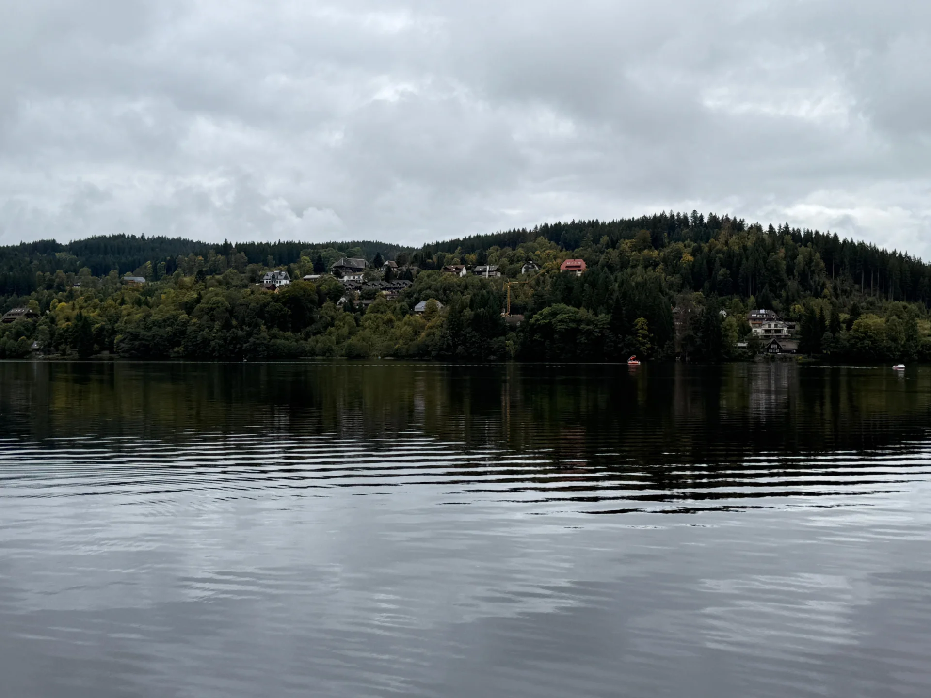 IMG-20250928-WA0015  (Bild vergr&ouml;&szlig;ern)