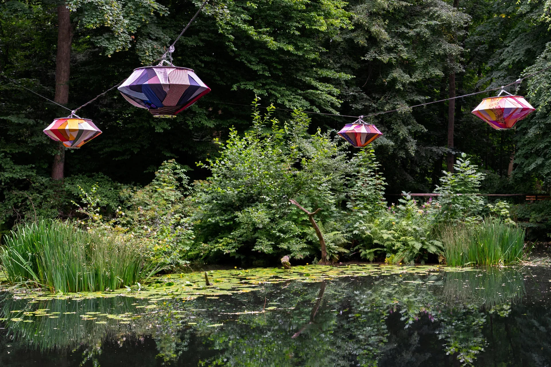 Peter Haider - Color Floating Purple Path  (Bild vergr&ouml;&szlig;ern)
