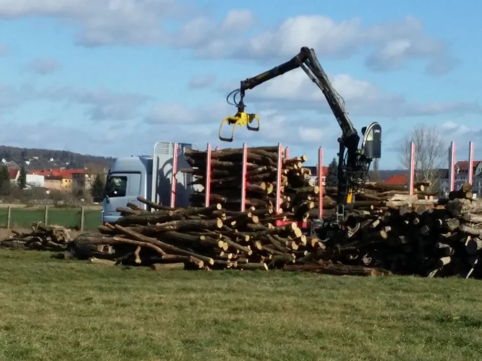 Bild: Holzlieferung - über die Hälfte unsere Holzbedarfes wird aus heimischen Beständen gesichert