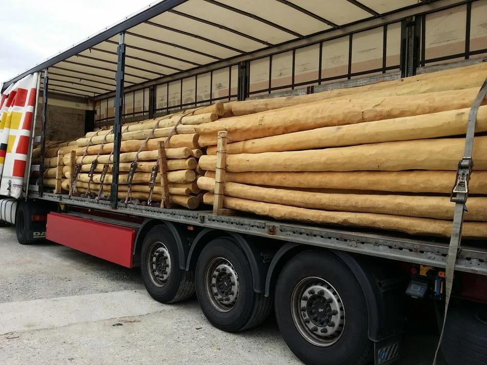 Bild: Holzlieferung - ein weiterer Teil wird aus Ungarn, Rumänien oder Kroatien importiert