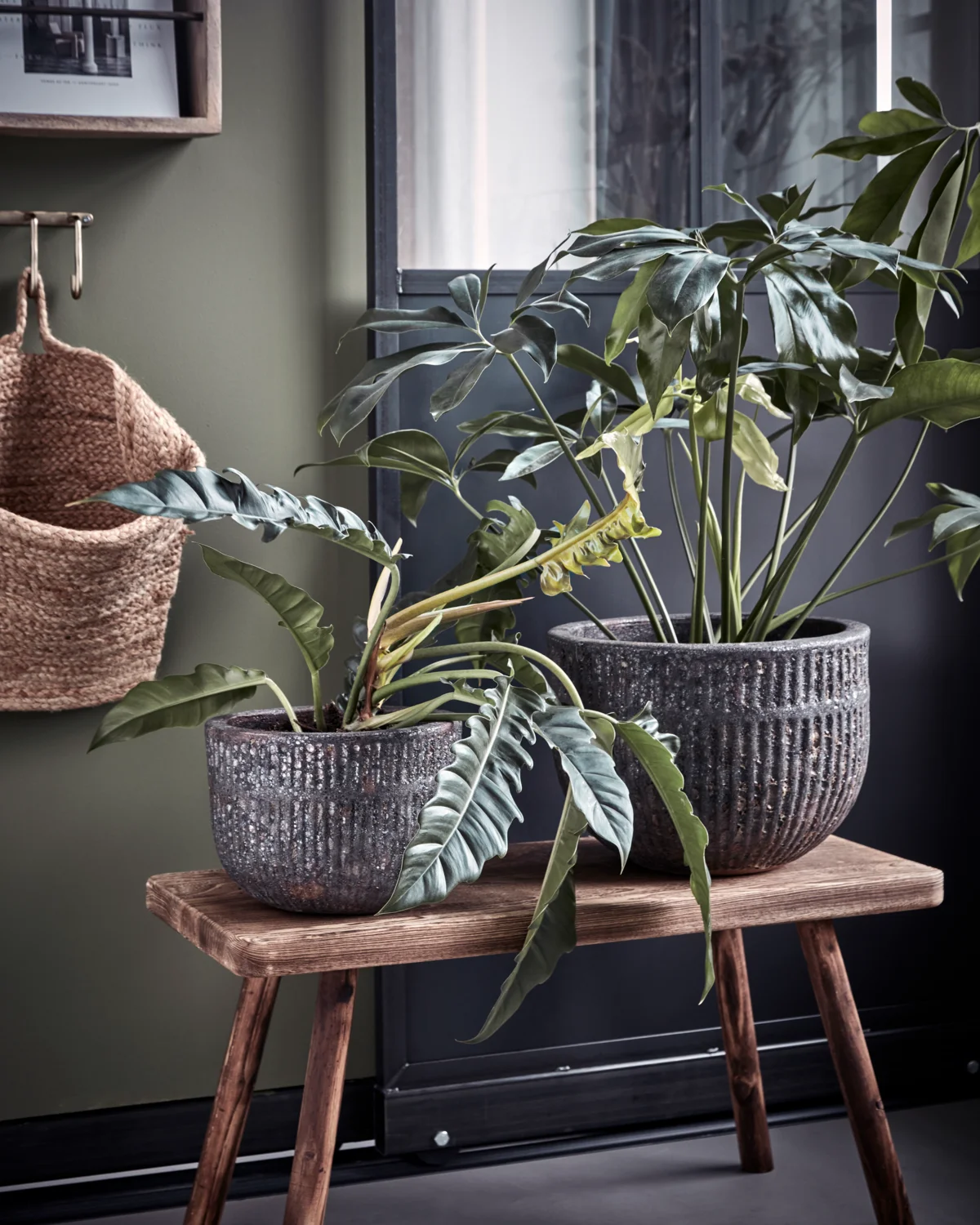 Foto der Galerie: HOME STYLING