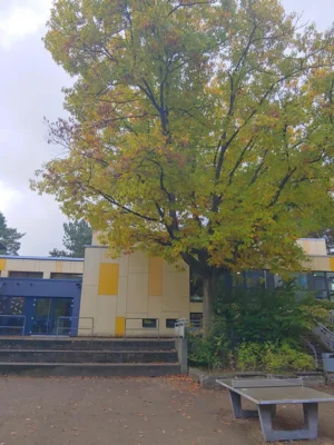 Vorschaubild: NW 3 Haus