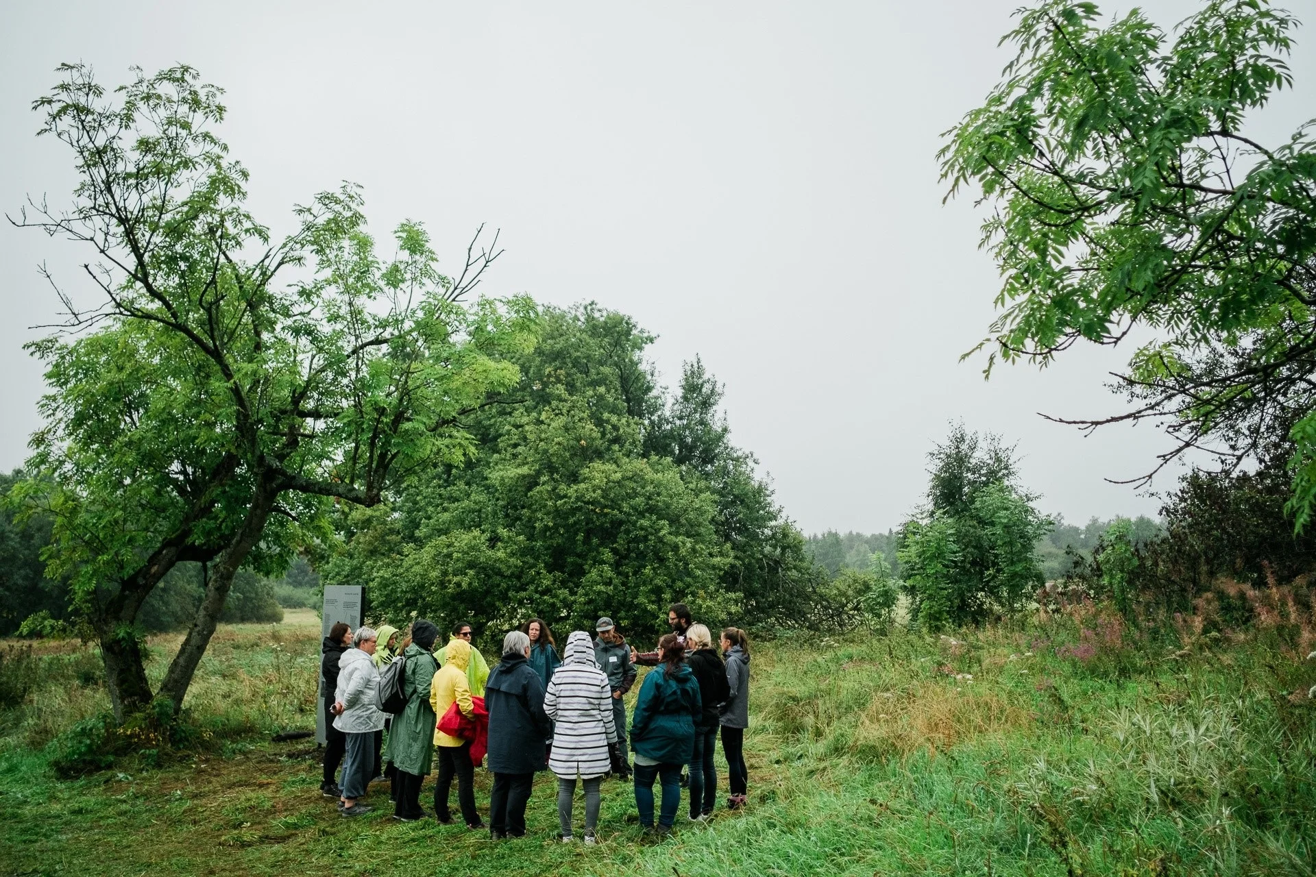 Foto der Galerie: Teambuilding-Treffen, Přední Cínovec