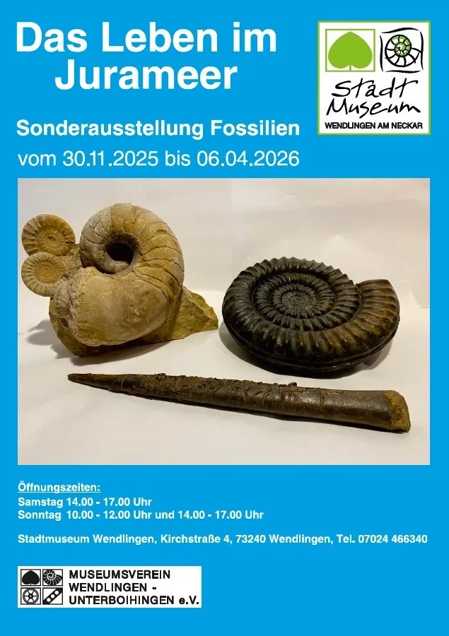 2025/2026  (Bild vergr&ouml;&szlig;ern)
