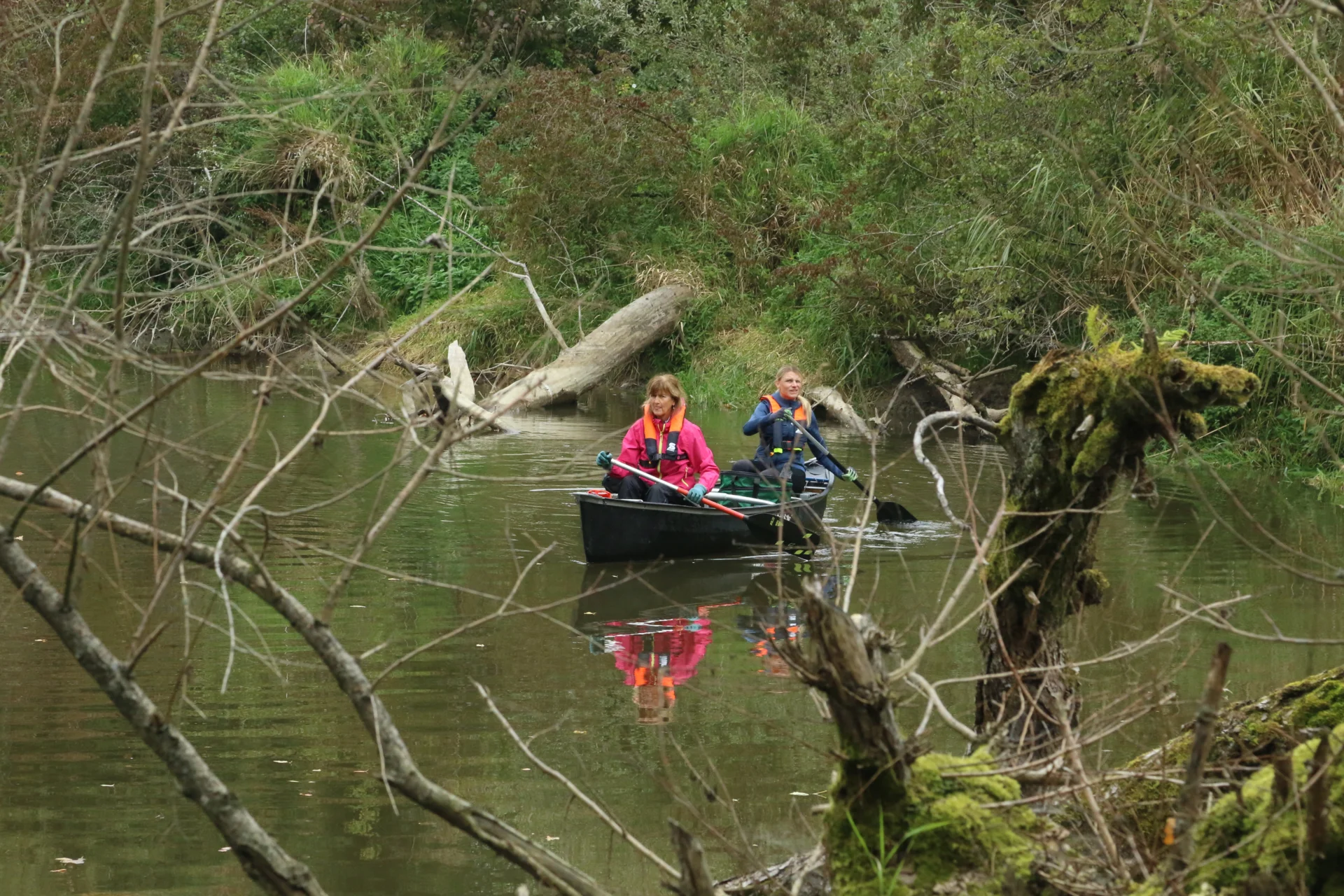 20251011 Ried (11)  (Bild vergr&ouml;&szlig;ern)