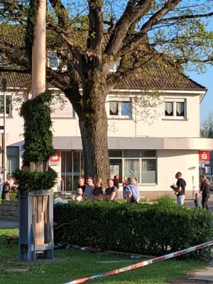 Vorschaubild der Galerie