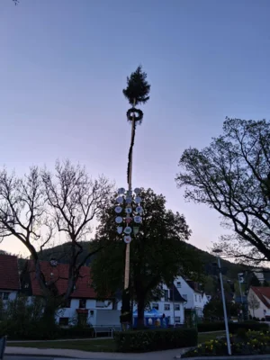 Vorschaubild der Galerie