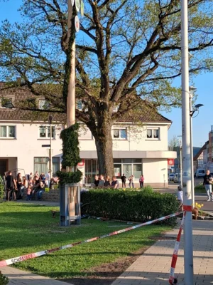 Vorschaubild der Galerie