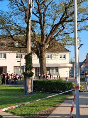Vorschaubild der Galerie