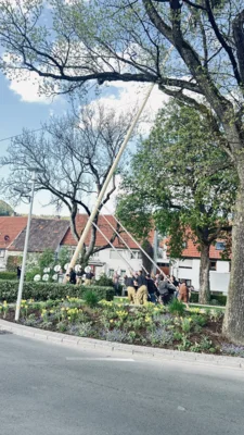 Vorschaubild der Galerie