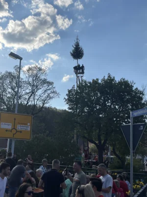 Vorschaubild der Galerie