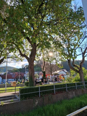 Vorschaubild der Galerie