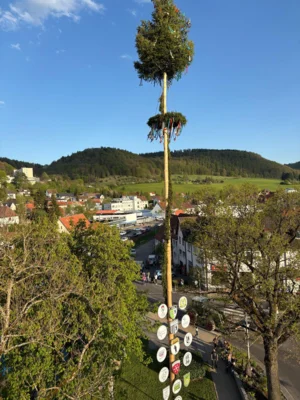 Vorschaubild der Galerie