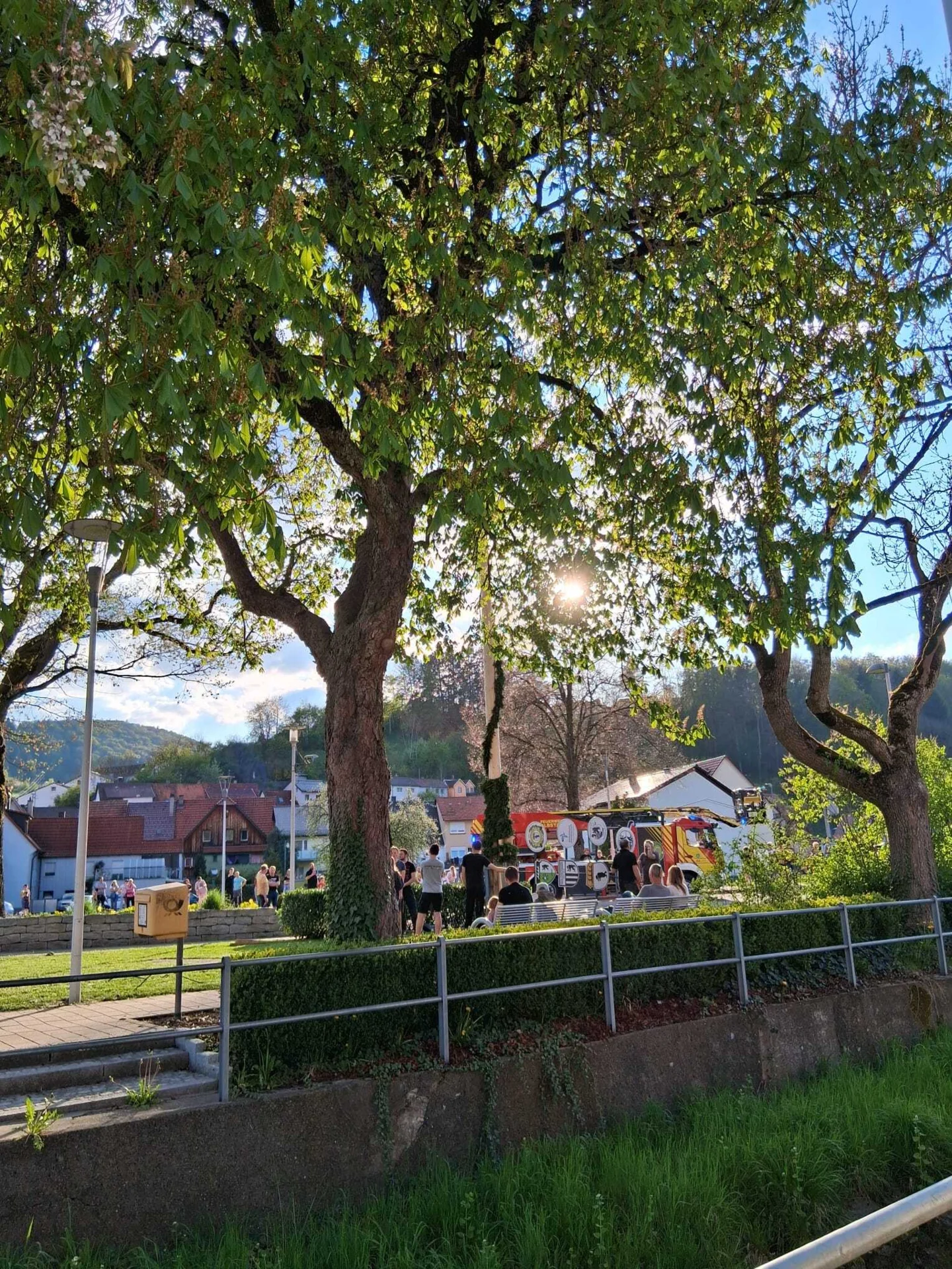 Bild der Galerie