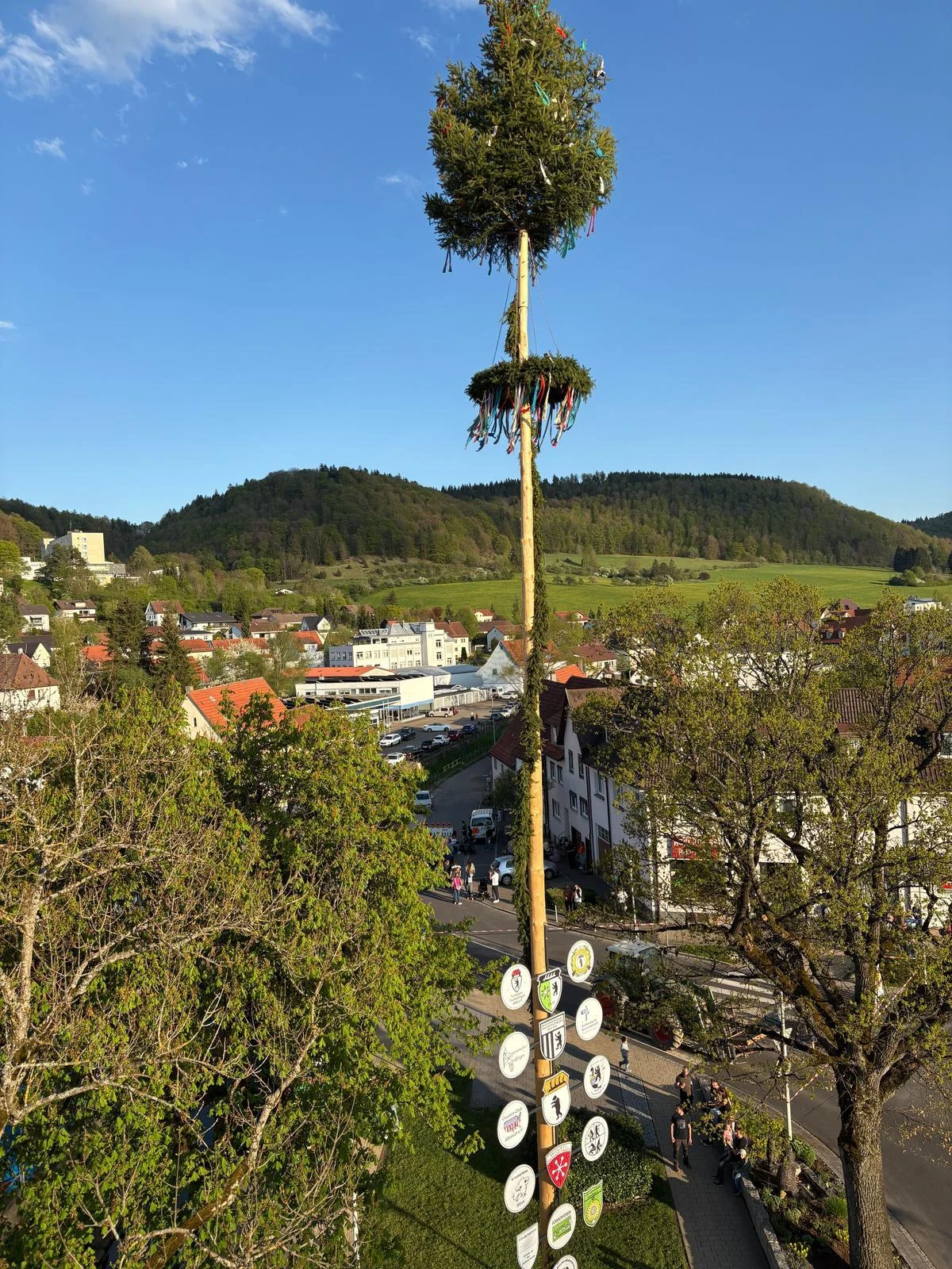 Bild der Galerie