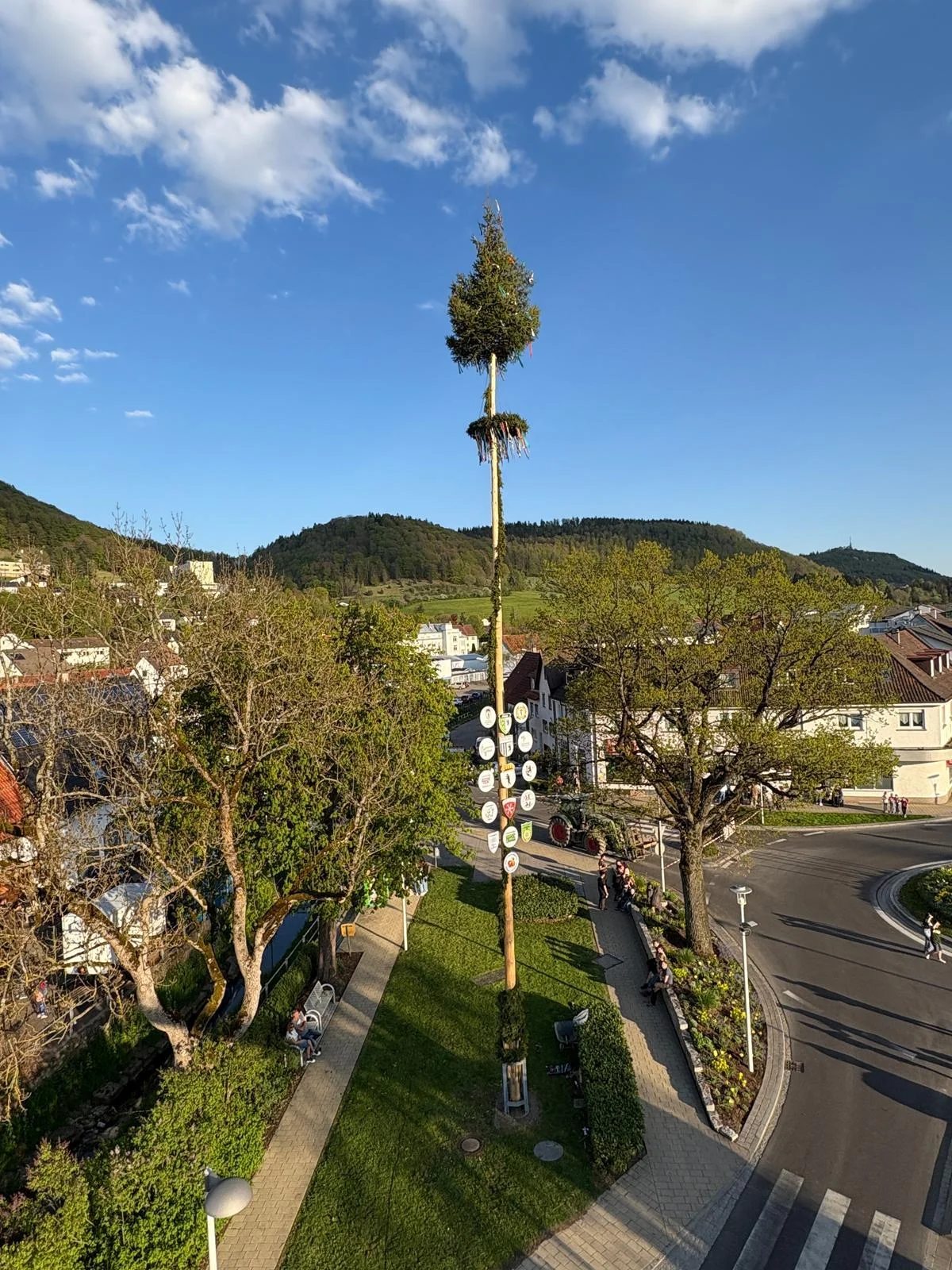 Zur Galerie: 2025 Maibaum