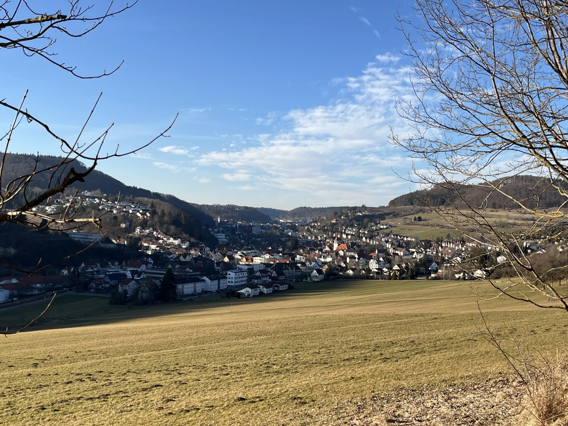 Bild der Galerie