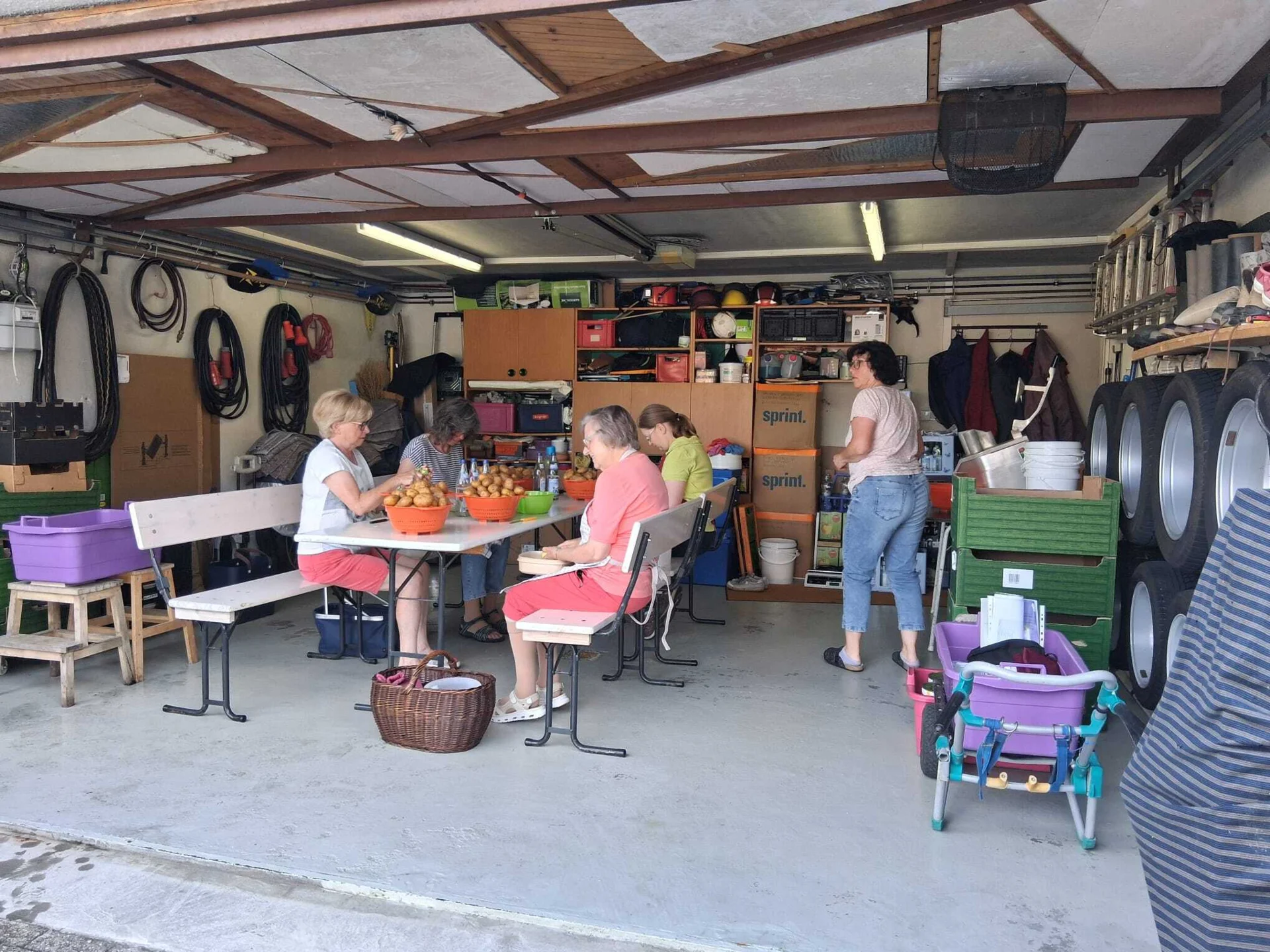 Bild der Galerie