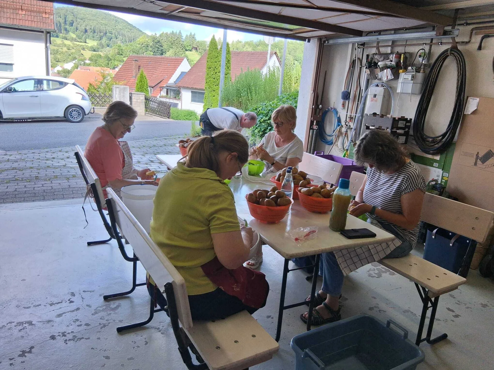 Bild der Galerie