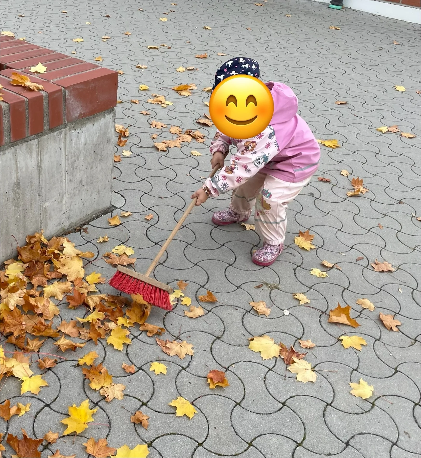 Bild: Wir brauchen noch mehr Blätter!