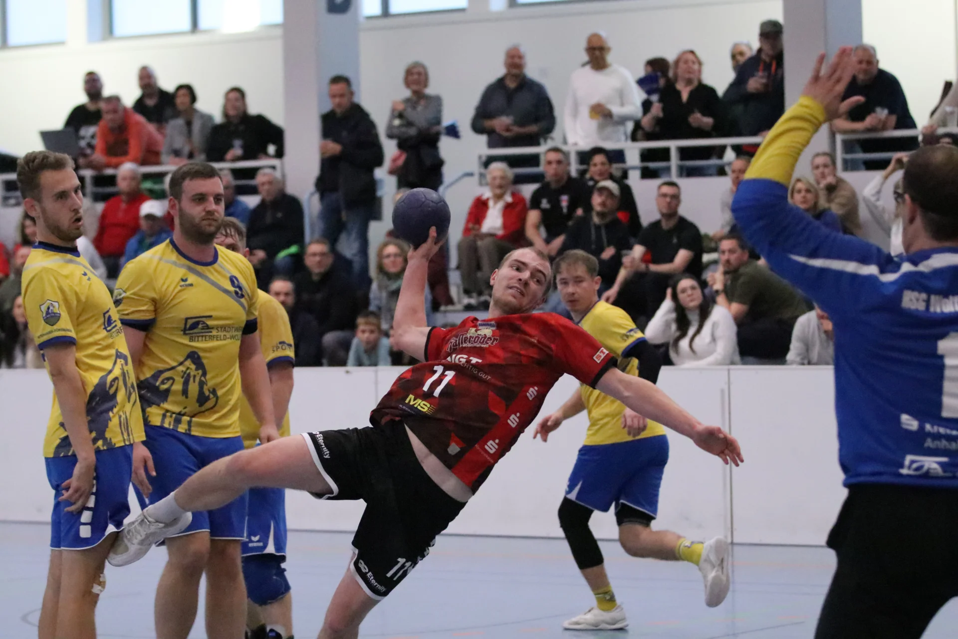 Bild: Handball beim HV Wernigerode